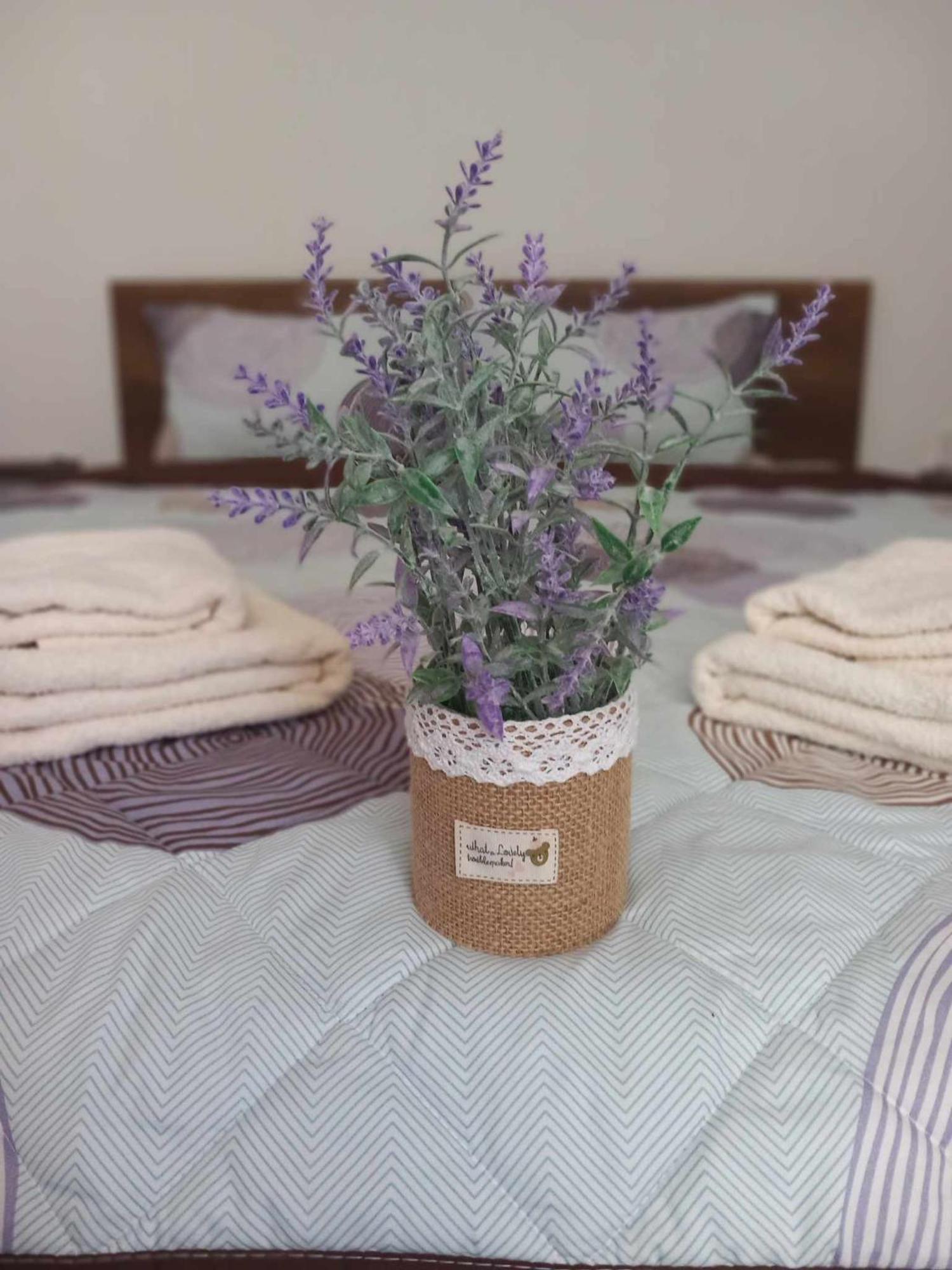 Gopo Guesthouse Elshani מראה חיצוני תמונה