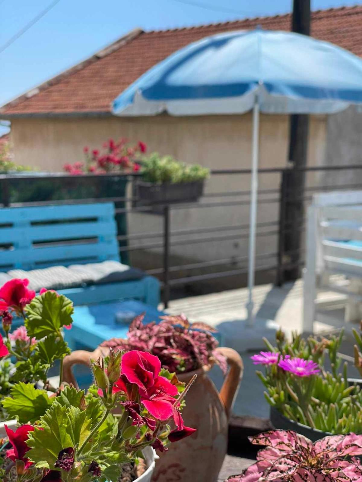 Gopo Guesthouse Elshani מראה חיצוני תמונה
